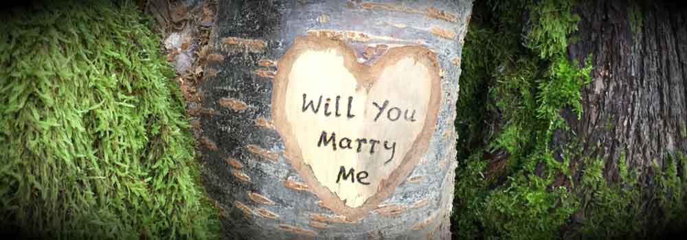 will you marry me carved in tree